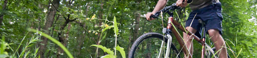 Bringakert – Kerékpárbolt és szerviz